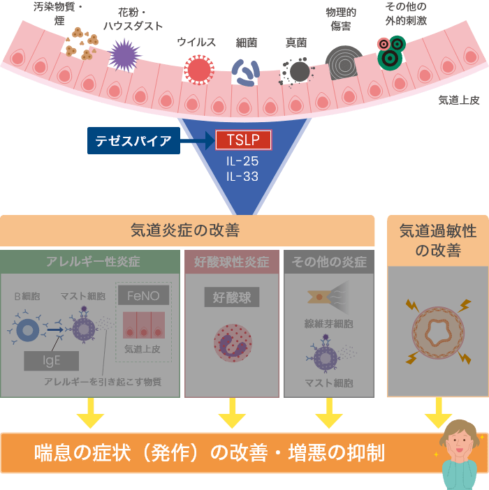 テゼスパイアがTSLPの働きを抑える時のイメージ図